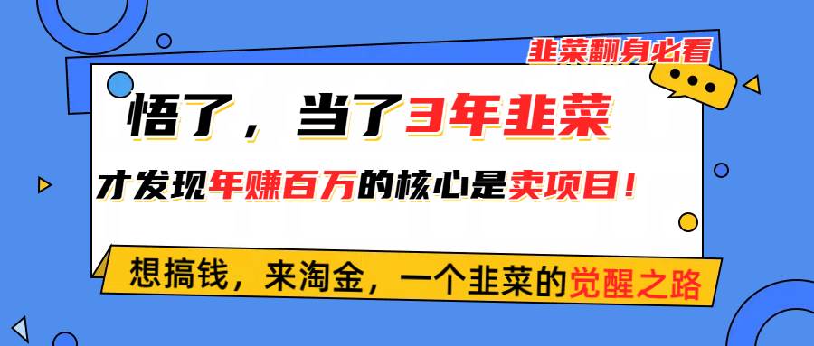 悟了，当了3年韭菜，才发现网赚圈年赚100万的核心是卖项目，含泪分享！共创吧-网创项目资源站-副业项目-创业项目-搞钱项目共创吧
