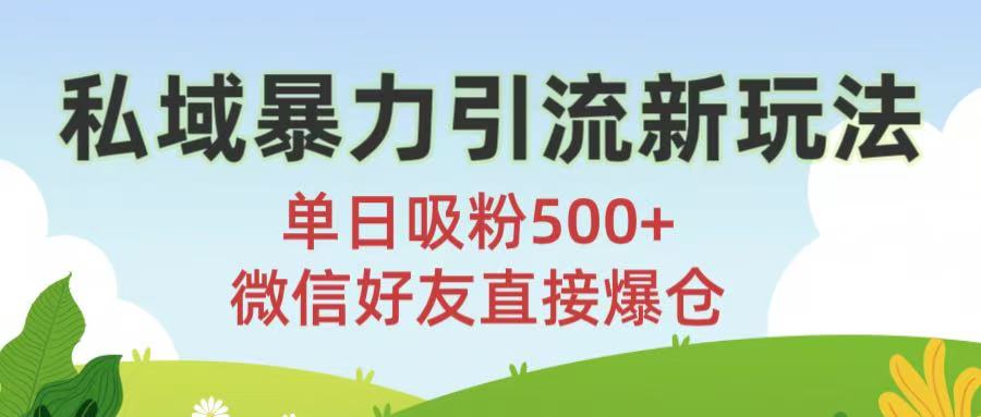 私域暴力引流新玩法!单日吸粉500+，微信好友直接爆仓网创吧-网创项目资源站-副业项目-创业项目-搞钱项目共创吧