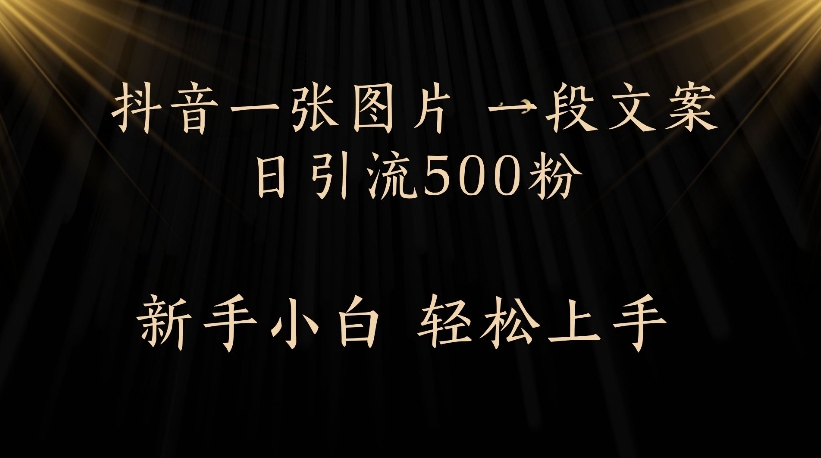 抖音一张图片,一段文案日引流500粉,新手小白 轻松上手网创吧-网创项目资源站-副业项目-创业项目-搞钱项目网创吧