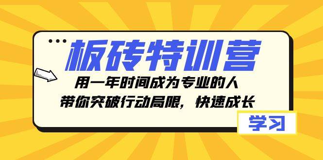 板砖特训营，用一年时间成为专业的人，带你突破行动局限，快速成长共创吧-网创项目资源站-副业项目-创业项目-搞钱项目共创吧