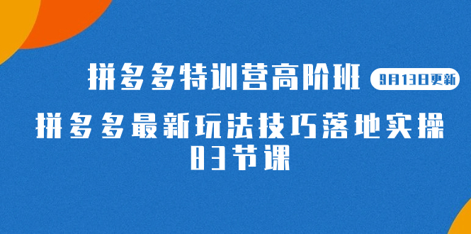 2023拼多多·特训营高阶班【9月13日更新】拼多多最新玩法技巧落地实操-83节共创吧-网创项目资源站-副业项目-创业项目-搞钱项目共创吧