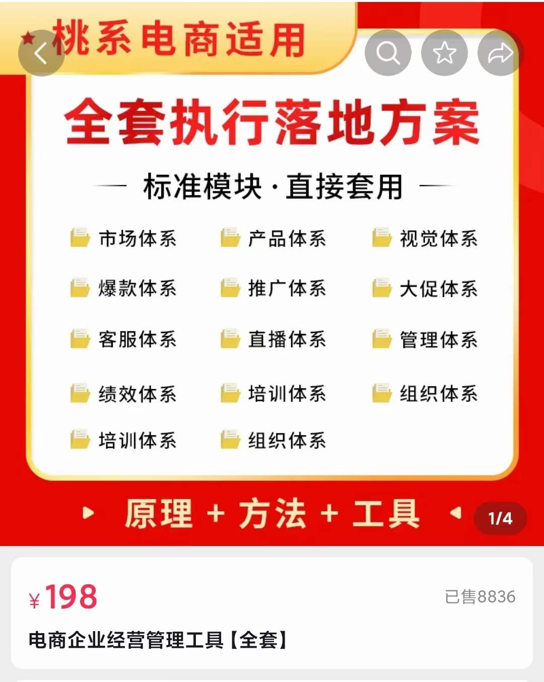 外面卖198·电商企业经营管理工具：全套执行落地方案 标准模块·直接套用网创吧-网创项目资源站-副业项目-创业项目-搞钱项目共创吧