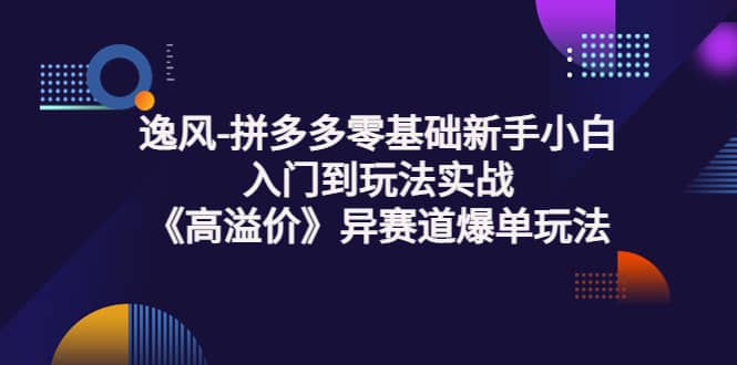 拼多多零基础新手小白入门到玩法实战《高溢价》异赛道爆单玩法实操课网创吧-网创项目资源站-副业项目-创业项目-搞钱项目共创吧