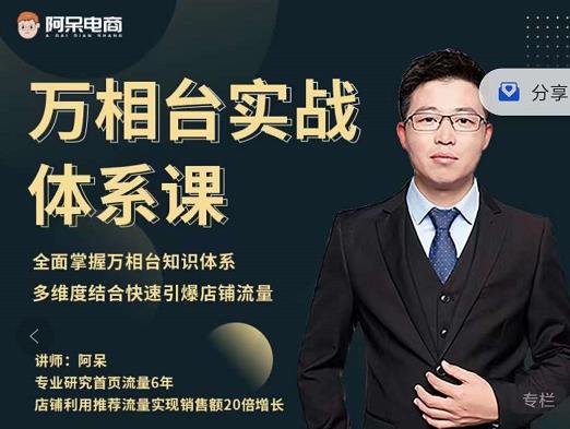 阿呆-万相台实战体系课，帮您全面掌握万相台知识体系网创吧-网创项目资源站-副业项目-创业项目-搞钱项目共创吧