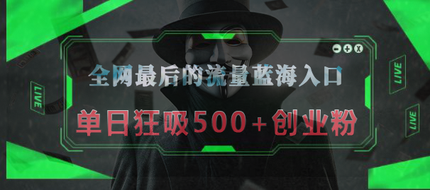 全网最后的流量蓝海入口，半小时引流50+创业粉，单日狂吸500+创业粉网创吧-网创项目资源站-副业项目-创业项目-搞钱项目共创吧