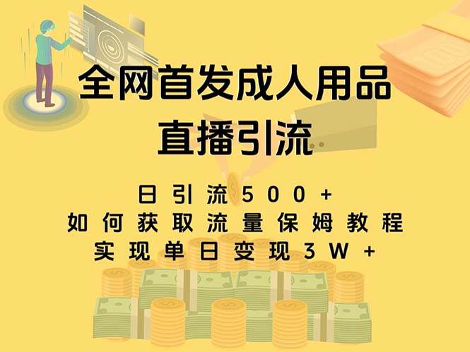 最新全网独创首发，成人用品直播引流获客暴力玩法，单日变现3w保姆级教程共创吧-网创项目资源站-副业项目-创业项目-搞钱项目共创吧