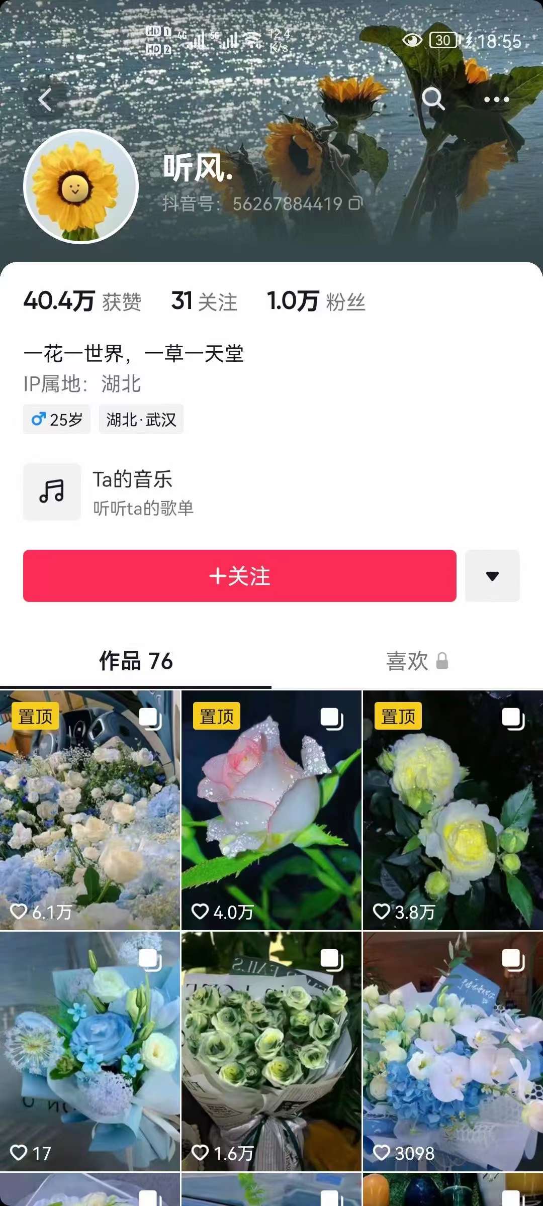 抖音壁纸变现项目：实战日入380+发布壁纸素材获取收益！网创吧-网创项目资源站-副业项目-创业项目-搞钱项目共创吧