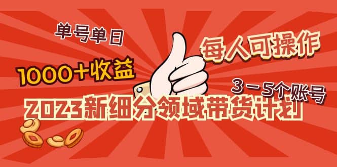 2023新细分领域带货计划：单号单日1000+收益不难，每人可操作3-5个账号网创吧-网创项目资源站-副业项目-创业项目-搞钱项目共创吧