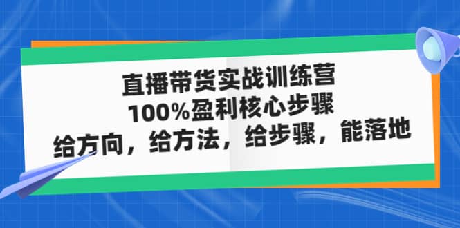 直播带货实战训练营：100%盈利核心步骤，给方向，给方法，给步骤，能落地网创吧-网创项目资源站-副业项目-创业项目-搞钱项目共创吧