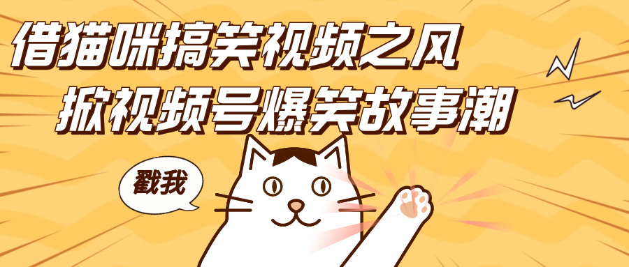 借猫咪搞笑视频之风，掀视频号爆笑故事潮，轻松日赚四位数，开启无门槛赚钱新体验！网创吧-网创项目资源站-副业项目-创业项目-搞钱项目共创吧