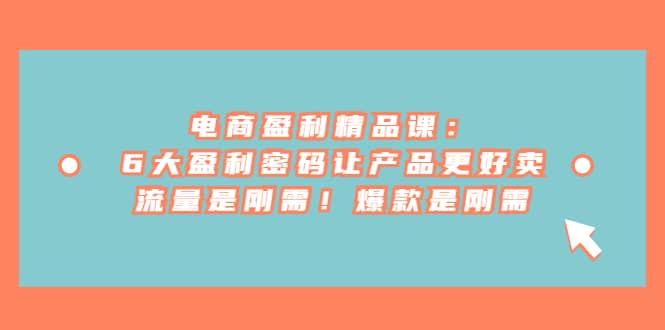 电商 盈利精品课：6大盈利 密码让产品更好卖，流量是刚需！爆款是刚需网创吧-网创项目资源站-副业项目-创业项目-搞钱项目共创吧