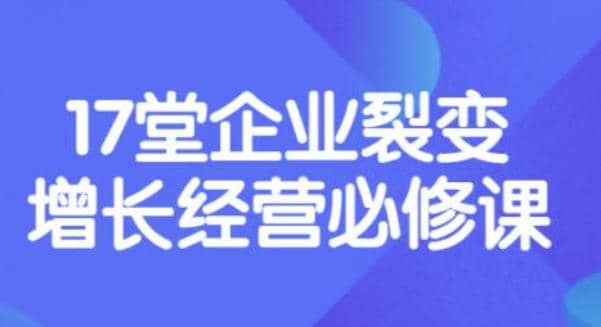 《盈利增长17堂必修课》企业裂变增长的经营智慧，带你了解增长的本质网创吧-网创项目资源站-副业项目-创业项目-搞钱项目共创吧