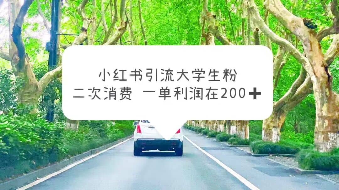 小红书引流大学生粉，变现项目，一单利润在200+（教程+资源）网创吧-网创项目资源站-副业项目-创业项目-搞钱项目共创吧
