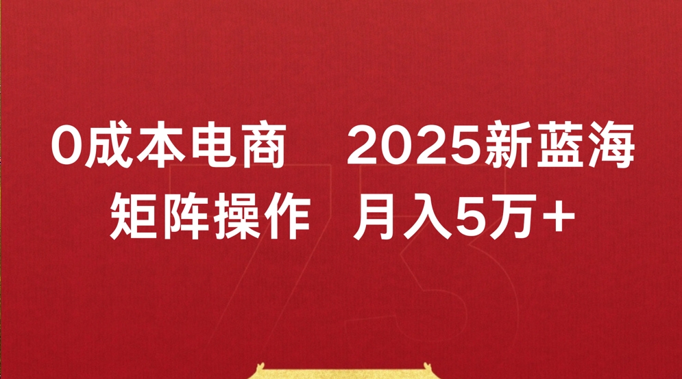 0成本电商2025新蓝海矩阵操作 月入5万+网创吧-网创项目资源站-副业项目-创业项目-搞钱项目共创吧