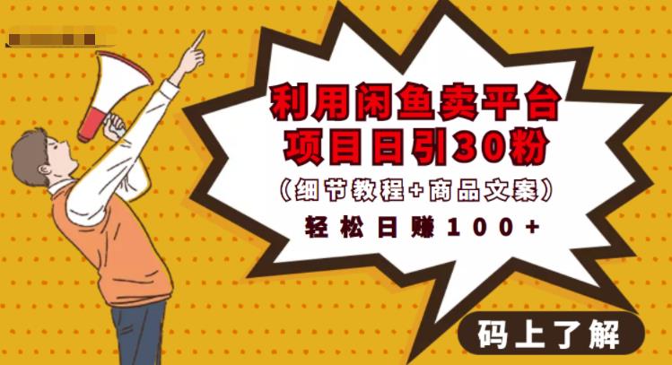 利用闲鱼卖平台项目课程资源日引流30+精准粉丝，轻松日赚100+，积累人脉可实现二次变现（细节教程+商品文案）网创吧-网创项目资源站-副业项目-创业项目-搞钱项目共创吧