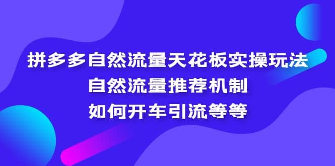 拼多多自然流量天花板实操玩法：自然流量推荐机制，如何开车引流等等网创吧-网创项目资源站-副业项目-创业项目-搞钱项目共创吧