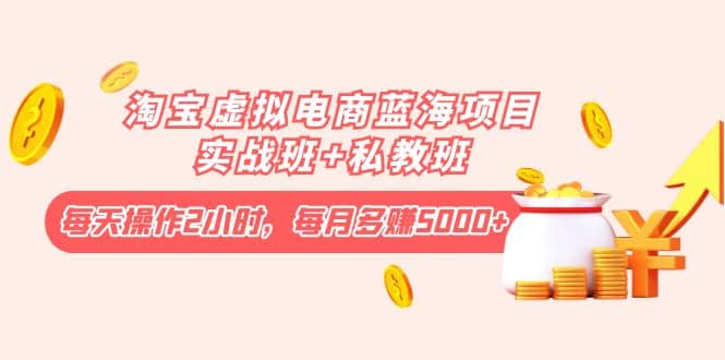 淘宝虚拟电商蓝海项目实战班+私教班网创吧-网创项目资源站-副业项目-创业项目-搞钱项目共创吧