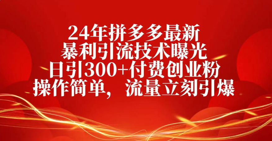 25年拼多多最新暴利引流技术曝光、日引300+付费创业粉操作简单，流量立刻引爆网创吧-网创项目资源站-副业项目-创业项目-搞钱项目网创吧