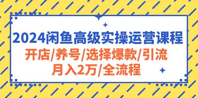 2024闲鱼高级实操运营课程：开店/养号/选择爆款/引流/月入2万/全流程网创吧-网创项目资源站-副业项目-创业项目-搞钱项目共创吧