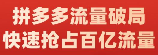 阿杰·拼多多流量破局:如何打黑标,爆款的思路,拼多多流量框架,快速抢占百亿流量网创吧-网创项目资源站-副业项目-创业项目-搞钱项目网创吧