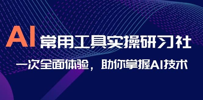 AI-常用工具实操研习社，一次全面体验，助你掌握AI技术共创吧-网创项目资源站-副业项目-创业项目-搞钱项目共创吧