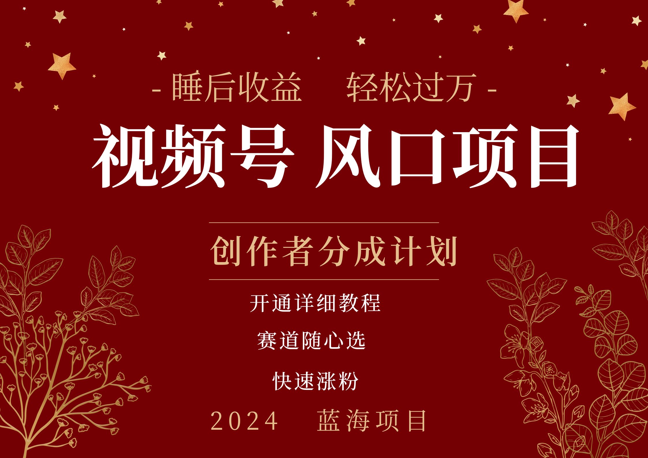拥有睡眠收益的微信视频号大风口项目，轻松月入过万+，多赛道选择，可矩阵，玩法简单轻松上手共创吧-网创项目资源站-副业项目-创业项目-搞钱项目共创吧