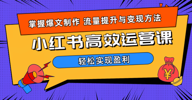 价值980小红书运营操作指南共创吧-网创项目资源站-副业项目-创业项目-搞钱项目共创吧