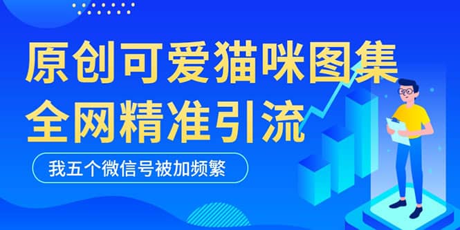 黑科技纯原创可爱猫咪图片，全网精准引流，实操5个VX号被加频繁网创吧-网创项目资源站-副业项目-创业项目-搞钱项目网创吧