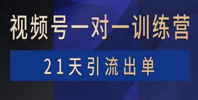 视频号训练营：带货，涨粉，直播，游戏，四大变现新方向，21天引流出单网创吧-网创项目资源站-副业项目-创业项目-搞钱项目共创吧