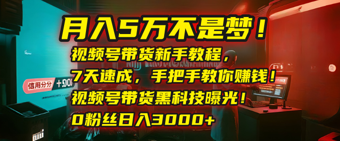 月入5万不是梦！视频号带货新手教程，7天速成，手把手教你赚钱！视频号带货黑科技曝光！0粉丝日入3000+网创吧-网创项目资源站-副业项目-创业项目-搞钱项目网创吧