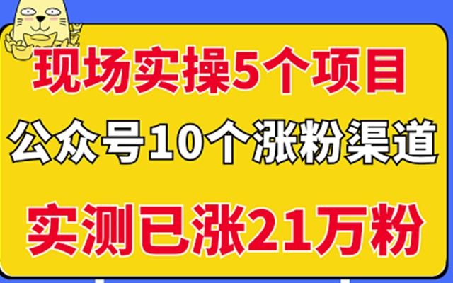 现场实操5个公众号项目，10个涨粉渠道，实测已涨21万粉！网创吧-网创项目资源站-副业项目-创业项目-搞钱项目共创吧