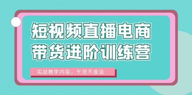 短视频直播电商带货进阶训练营：实战教学内容，干货不废话网创吧-网创项目资源站-副业项目-创业项目-搞钱项目共创吧