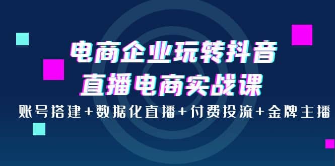 电商企业玩转抖音直播电商实战课：账号搭建+数据化直播+付费投流+金牌主播网创吧-网创项目资源站-副业项目-创业项目-搞钱项目共创吧