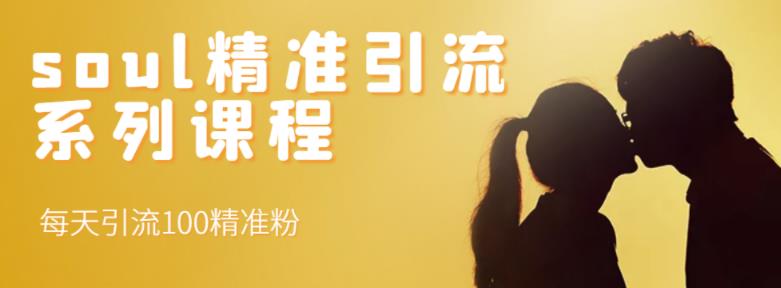 soul精准引流系列课程，每天引流100精准粉网创吧-网创项目资源站-副业项目-创业项目-搞钱项目共创吧