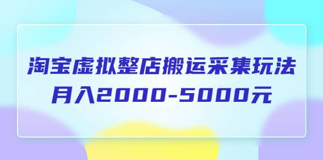 淘宝虚拟整店搬运采集玩法分享课：月入2000-5000元（5节课）网创吧-网创项目资源站-副业项目-创业项目-搞钱项目共创吧