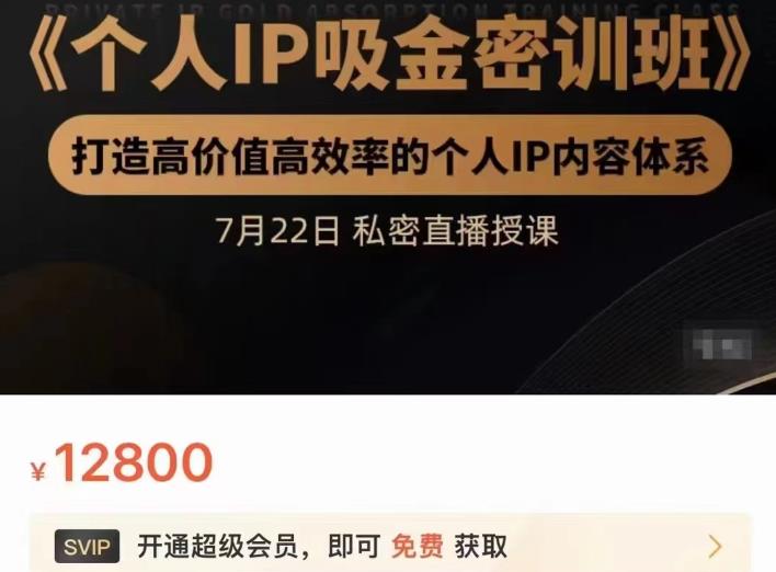 个人IP吸金密训班，打造高价值高效率的个人IP内容体系（价值12800元）网创吧-网创项目资源站-副业项目-创业项目-搞钱项目共创吧