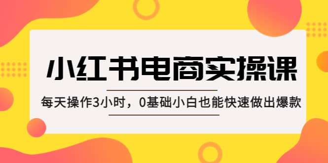 小红书·电商实操课：每天操作3小时，0基础小白也能快速做出爆款网创吧-网创项目资源站-副业项目-创业项目-搞钱项目共创吧
