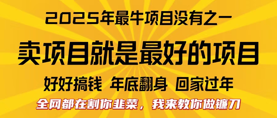 全网都在割你韭菜，我来教你做镰刀。卖项目就是最好的项目，2025年最牛互联网项目共创吧-网创项目资源站-副业项目-创业项目-搞钱项目共创吧