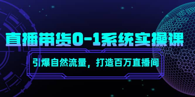 直播带货0-1系统实操课，引爆自然流量，打造百万直播间网创吧-网创项目资源站-副业项目-创业项目-搞钱项目共创吧