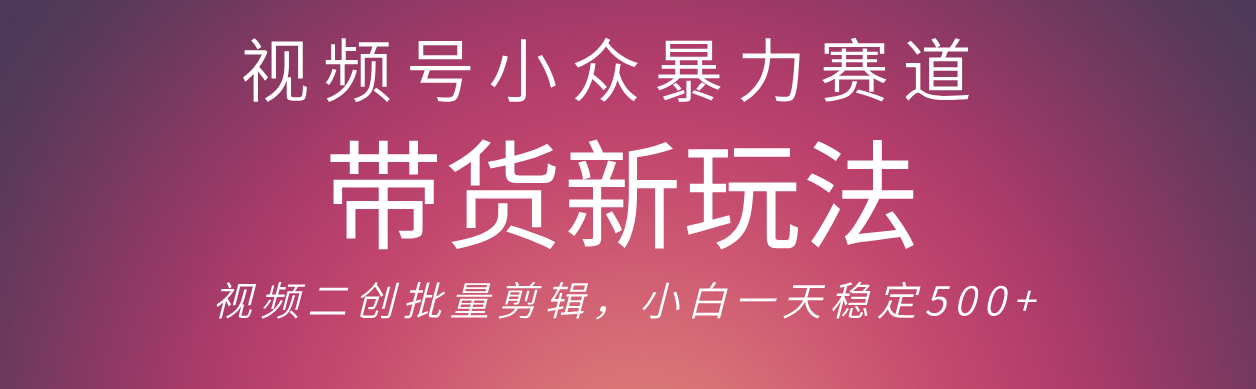 视频号小众暴力赛道，最新带货玩法 小白也能轻松日入500+ 保姆及教程网创吧-网创项目资源站-副业项目-创业项目-搞钱项目网创吧