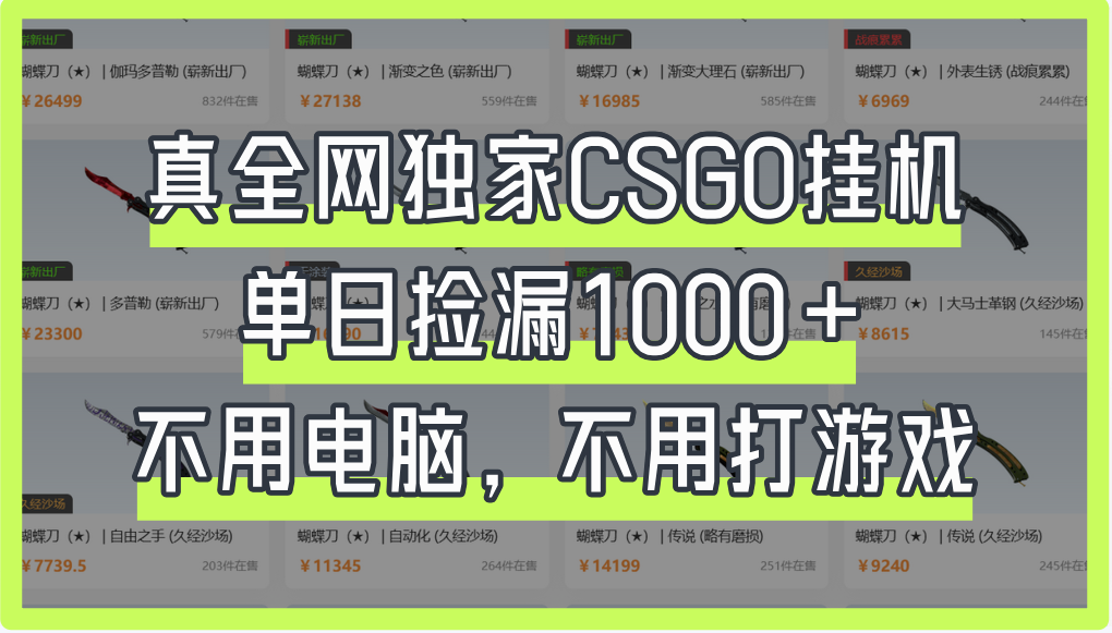 真全网独家CSGO挂机，单日捡漏1000+网创吧-网创项目资源站-副业项目-创业项目-搞钱项目共创吧