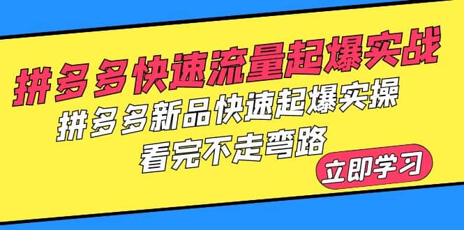拼多多-快速流量起爆实战，拼多多新品快速起爆实操，看完不走弯路网创吧-网创项目资源站-副业项目-创业项目-搞钱项目共创吧