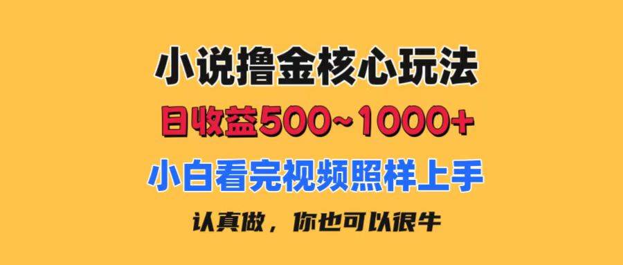 小说撸金核心玩法，日收益500-1000+，小白看完照样上手，0成本有手就行共创吧-网创项目资源站-副业项目-创业项目-搞钱项目共创吧