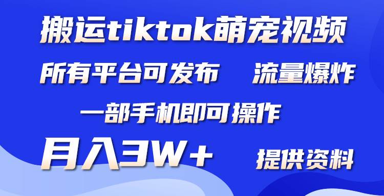 搬运Tiktok萌宠类视频，一部手机即可。所有短视频平台均可操作，月入3W+网创吧-网创项目资源站-副业项目-创业项目-搞钱项目共创吧