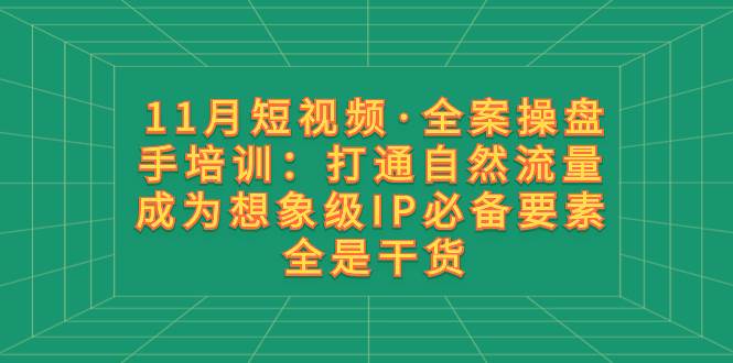 11月短视频·全案操盘手培训：打通自然流量 成为想象级IP必备要素 全是干货网创吧-网创项目资源站-副业项目-创业项目-搞钱项目共创吧