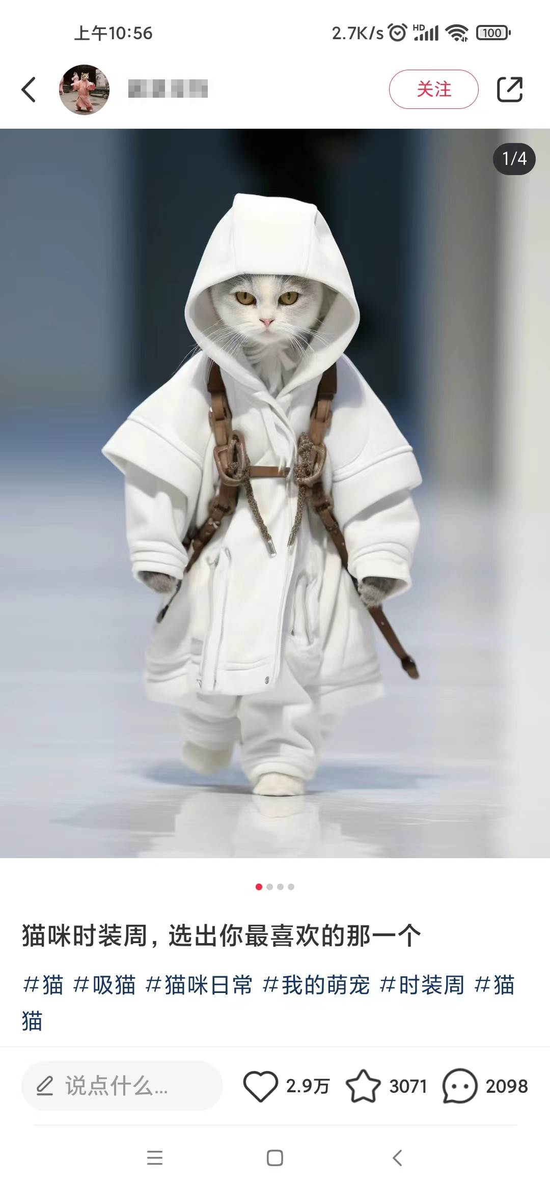 小红书最新爆款项目，Animal秀，7天变现1w+网创吧-网创项目资源站-副业项目-创业项目-搞钱项目共创吧